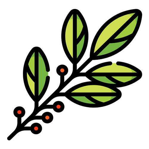 dibujo de una planta de yerba